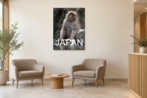 Jigokudani Monkey Park